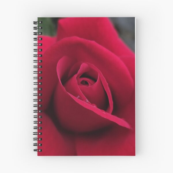 Item preview, Delicate Red Rose Rosa After The Rain designed and sold by vtspatial.