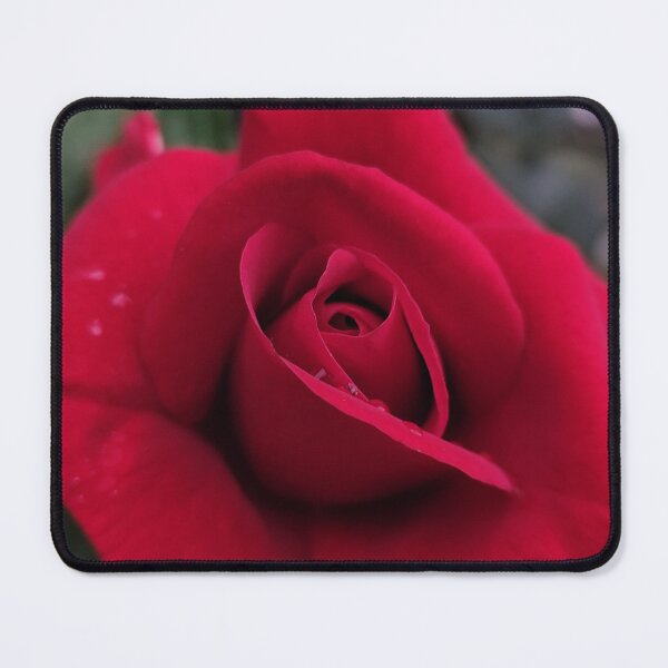 Item preview, Delicate Red Rose Rosa After The Rain designed and sold by vtspatial.