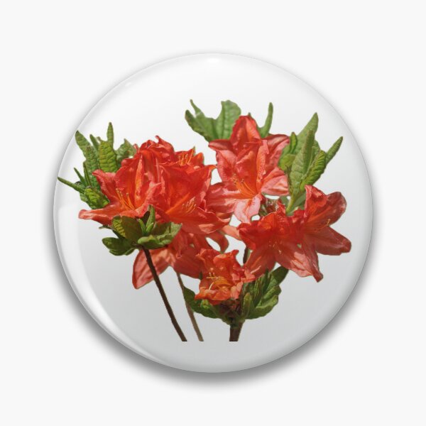 Item preview, orange azalea flowers designed and sold by MeadowMagicDesigns.