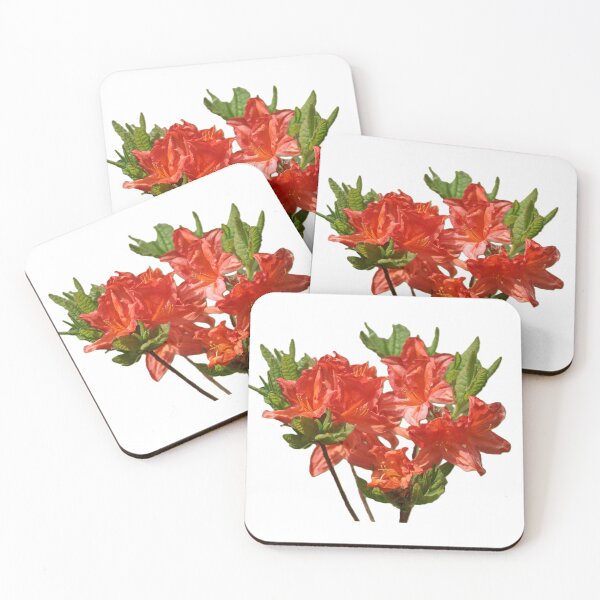 Item preview, orange azalea flowers designed and sold by MeadowMagicDesigns.