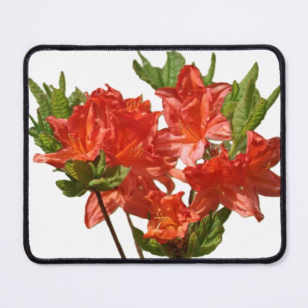 Item preview, orange azalea flowers designed and sold by MeadowMagicDesigns.
