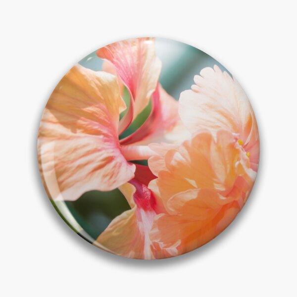 Item preview, Double Peach Hibiscus designed and sold by ROSE ANN BANILAR.