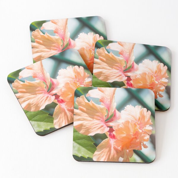 Item preview, Double Peach Hibiscus designed and sold by ROSE ANN BANILAR.