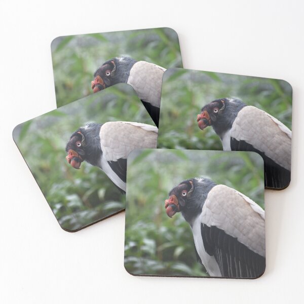 Item preview, King Vulture In The trees designed and sold by megjayne-photos.