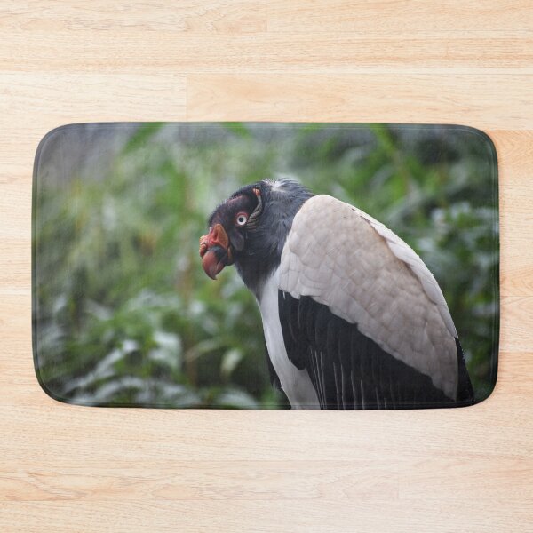 Item preview, King Vulture In The trees designed and sold by megjayne-photos.