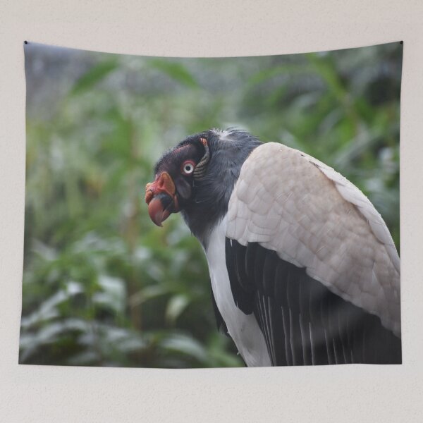 Item preview, King Vulture In The trees designed and sold by megjayne-photos.