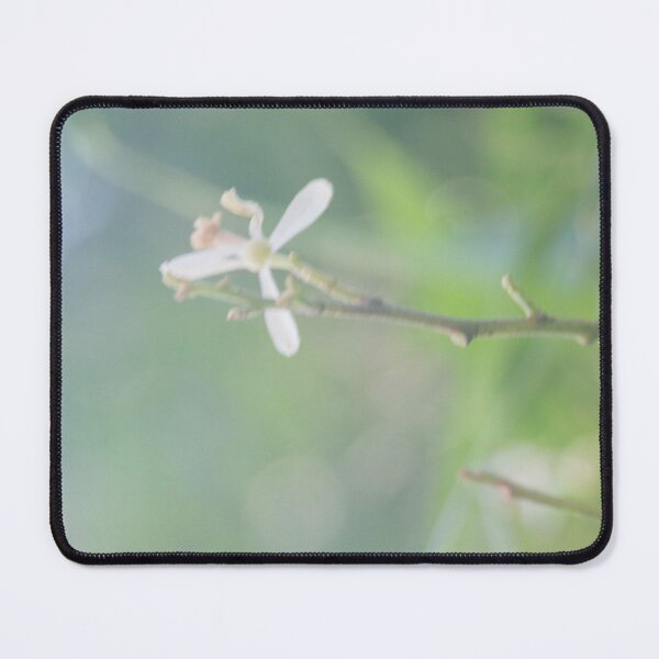 Item preview, Neem Tree Flower designed and sold by ROSE ANN BANILAR.