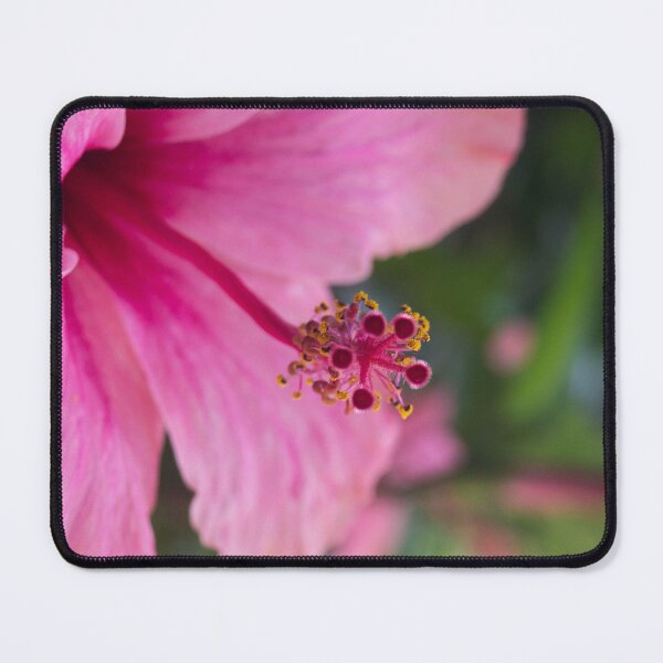 Item preview, Tropical Hibiscus designed and sold by ROSE ANN BANILAR.