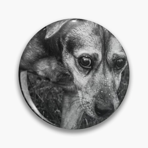 Item preview, black/white dog designed and sold by pigeonlovrs.