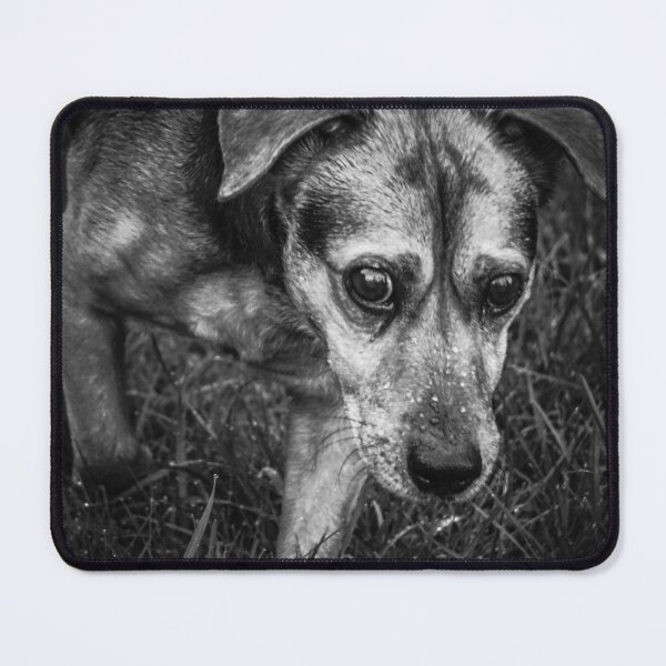 Item preview, black/white dog designed and sold by pigeonlovrs.