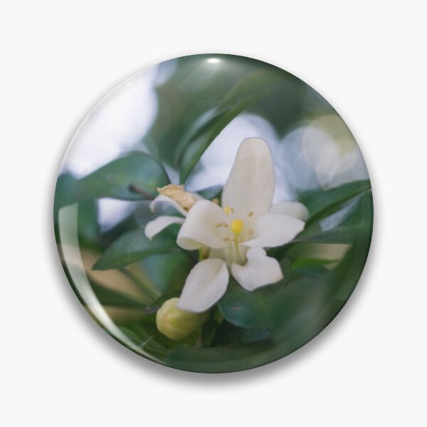 Artikelvorschau, Orange Jasmine_03 entworfen und verkauft von ROSE ANN BANILAR.