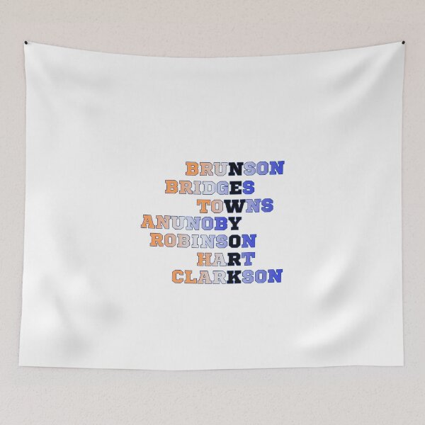 Item preview, New-York-Knicks-basketball designed and sold by VintageViolet79.