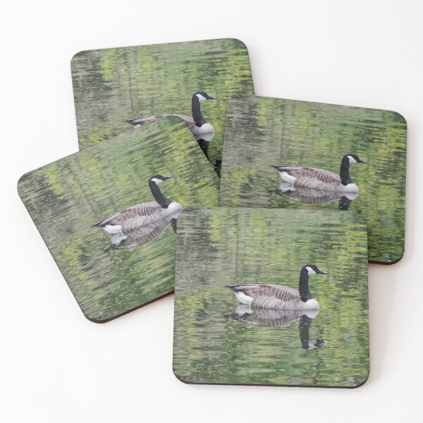 Item preview, Canada goose in the water designed and sold by pigeonlovrs.
