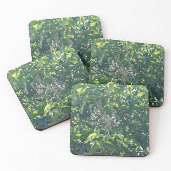 Item preview, Molave Tree Flowers designed and sold by ROSE ANN BANILAR.
