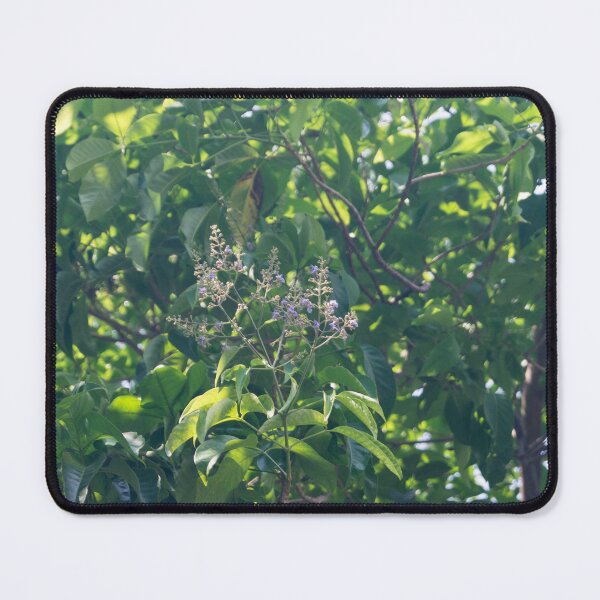 Item preview, Molave Tree Flowers designed and sold by ROSE ANN BANILAR.