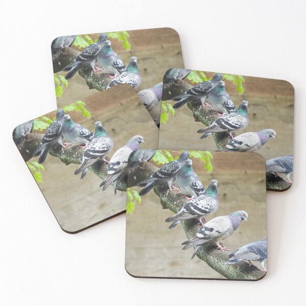 Item preview, City pigeons on a branch designed and sold by pigeonlovrs.