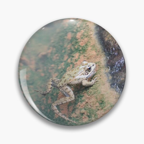 Item preview, Iberian Frog designed and sold by Malcolm Snook.