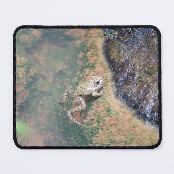 Item preview, Iberian Frog designed and sold by Malcolm Snook.