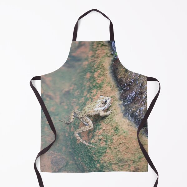 Item preview, Iberian Frog designed and sold by Malcolm Snook.