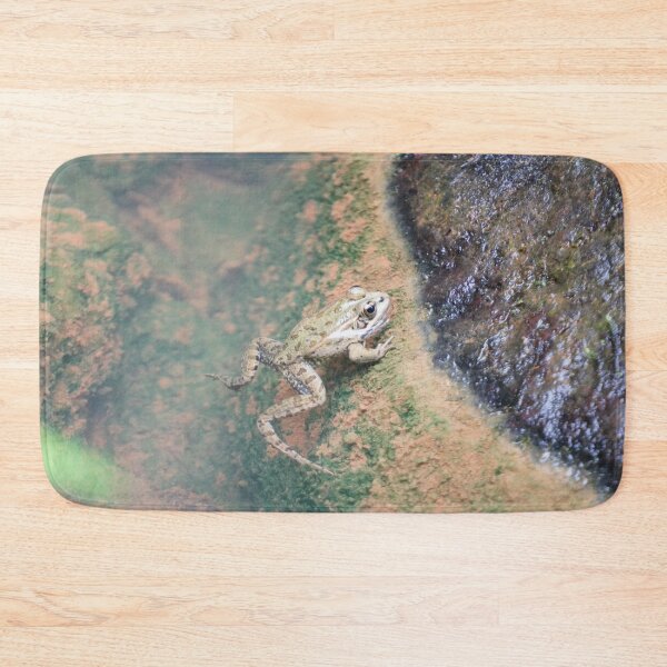 Item preview, Iberian Frog designed and sold by Malcolm Snook.