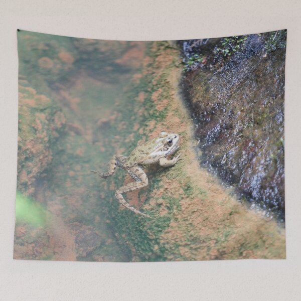 Item preview, Iberian Frog designed and sold by Malcolm Snook.