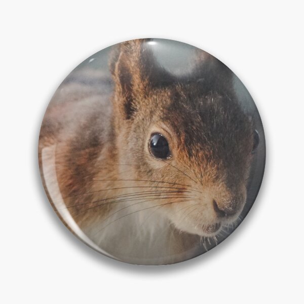 Item preview, squirrel designed and sold by pigeonlovrs.
