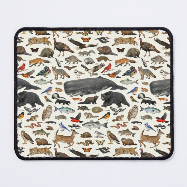 Item preview, Animals of Connecticut Retro Style Identification Chart designed and sold by kakarikihill.