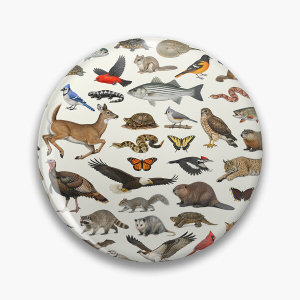 Item preview, Animals of Connecticut Retro Style Identification Chart designed and sold by kakarikihill.