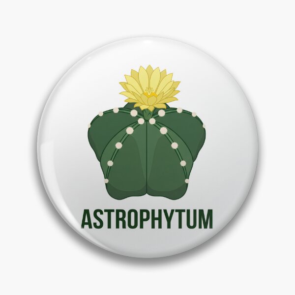 Item preview, Minimalist Geometric Hekiran Cactus Astrophytum Streetwear Logo designed and sold by GreenDivisionJP.