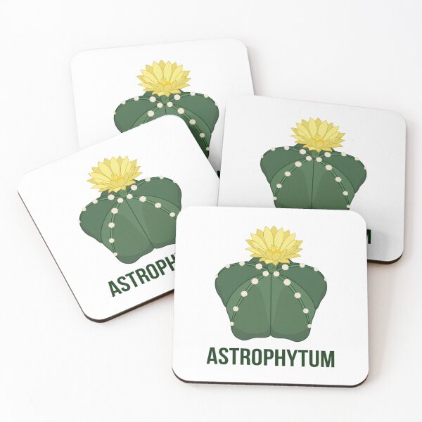 Item preview, Minimalist Geometric Hekiran Cactus Astrophytum Streetwear Logo designed and sold by GreenDivisionJP.