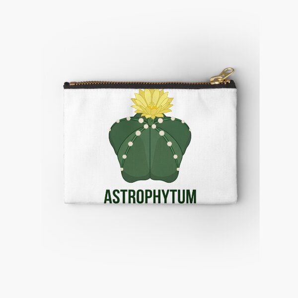 Item preview, Minimalist Geometric Hekiran Cactus Astrophytum Streetwear Logo designed and sold by GreenDivisionJP.