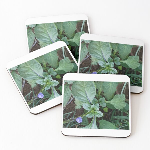 Item preview, Tiny Purple Wildflower Among Green Leaves designed and sold by Art of heart lab.