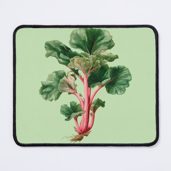 Item preview, Rhubarb Plant with Roots – Full Botanical Cutout designed and sold by EmeraldeaArt.