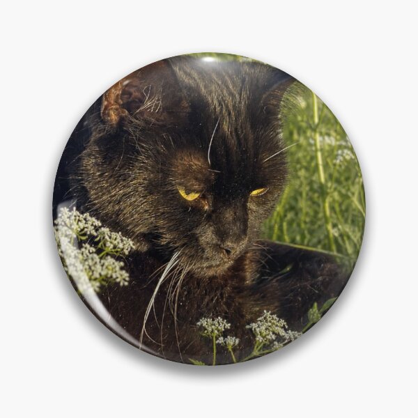 Item preview, Sooty the Solid Radio Cat in the Grass designed and sold by Sooty's Cosy Corner.