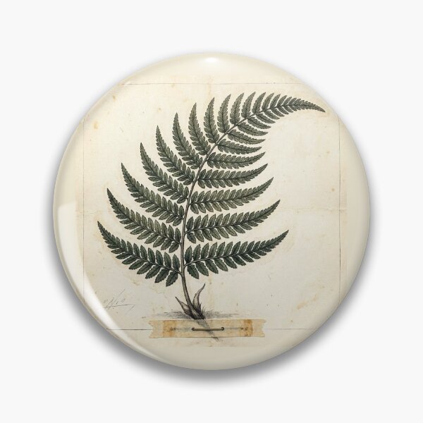 Item preview, Midnight Herbarium IV – Shadow Fern designed and sold by Roberta Calabrese.