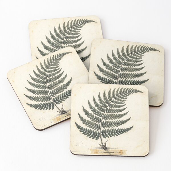 Item preview, Midnight Herbarium IV – Shadow Fern designed and sold by Roberta Calabrese.
