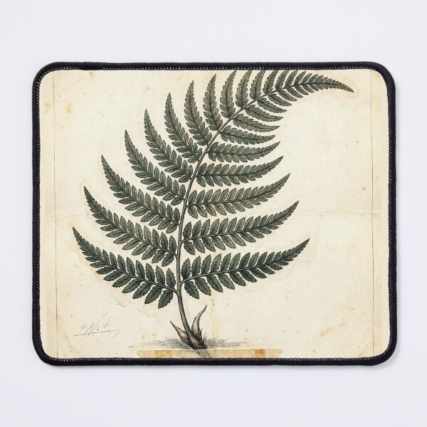 Item preview, Midnight Herbarium IV – Shadow Fern designed and sold by Roberta Calabrese.
