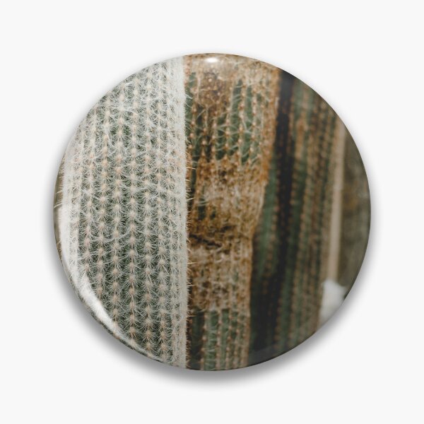 Item preview, Minimalist Desert Cactus Portrait Photo designed and sold by ReneJordaan.