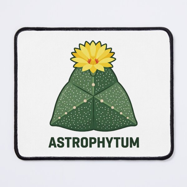 Item preview, Minimalist Geometric Astrophytum Cactus Vector Graphic designed and sold by GreenDivisionJP.
