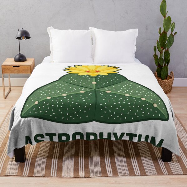 Item preview, Minimalist Geometric Astrophytum Cactus Vector Graphic designed and sold by GreenDivisionJP.