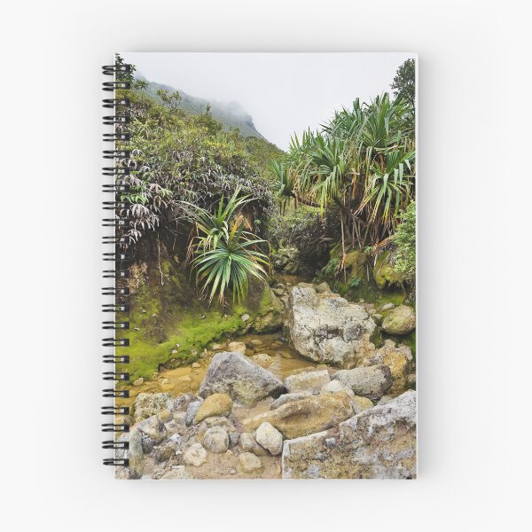 Item preview, A verdant oasis in the heart of the volcano designed and sold by franck380.