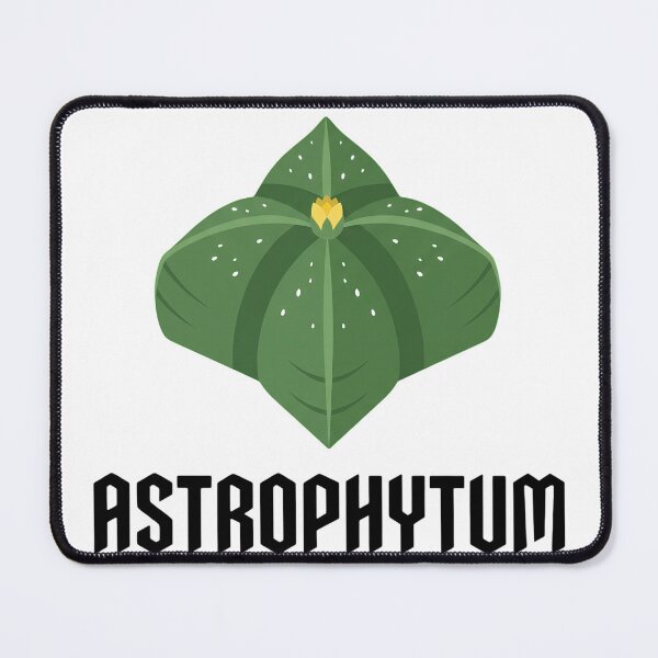 Item preview, Minimalist Astrophytum Quadricostatum Geometric Cactus Graphic designed and sold by GreenDivisionJP.