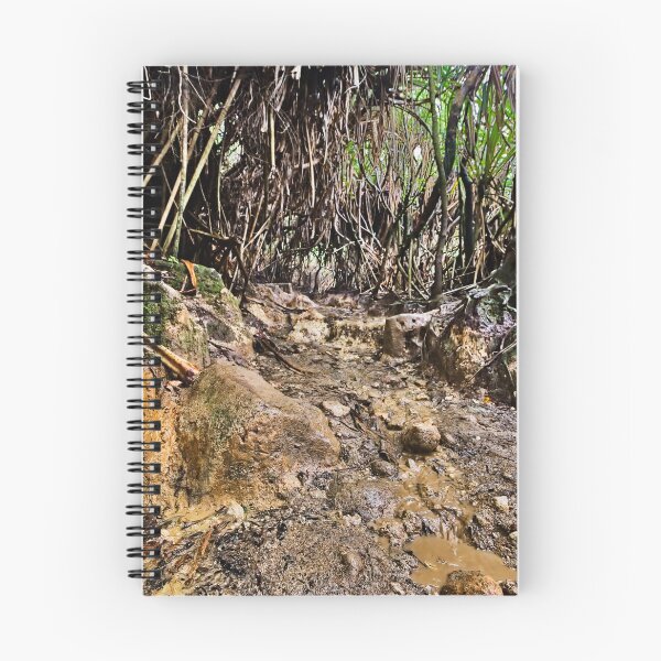 Item preview, Dirt path beneath tropical roots designed and sold by franck380.