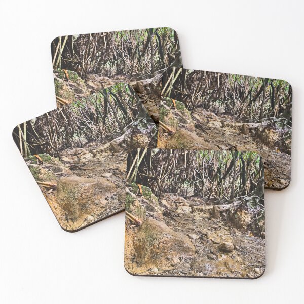Item preview, Dirt path beneath tropical roots designed and sold by franck380.