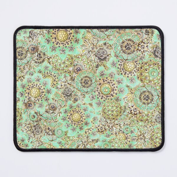 Item preview, Radiolaria Ernst Haeckel Pattern  designed and sold by aeolia.