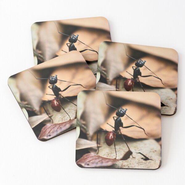 Item preview, Dinomyrmex gigas ant in the jungle designed and sold by franck380.