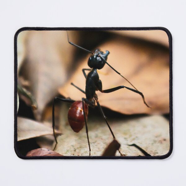 Item preview, Dinomyrmex gigas ant in the jungle designed and sold by franck380.