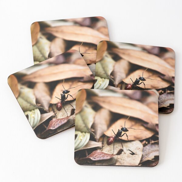 Item preview, Dinomyrmex gigas ant in the jungle designed and sold by franck380.