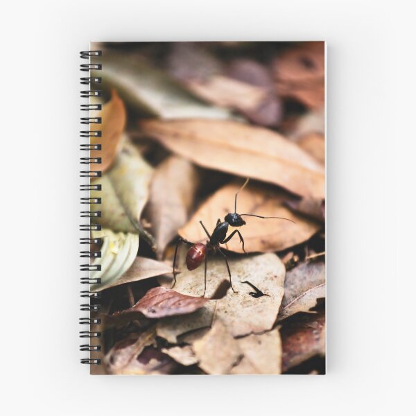 Item preview, Dinomyrmex gigas ant in the jungle designed and sold by franck380.