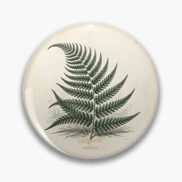 Item preview, Midnight Herbarium IV – Shadow Fern designed and sold by Roberta Calabrese.
